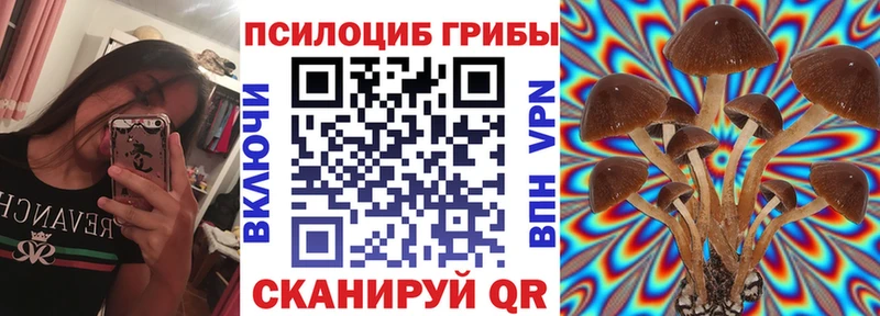 купить наркоту  Норильск  Псилоцибиновые грибы Psilocybine cubensis 