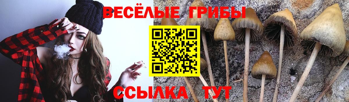 Норильск  Галлюциногенные грибы Psilocybine cubensis  Вход с VPN  Галлюциногенные грибы мухоморы 