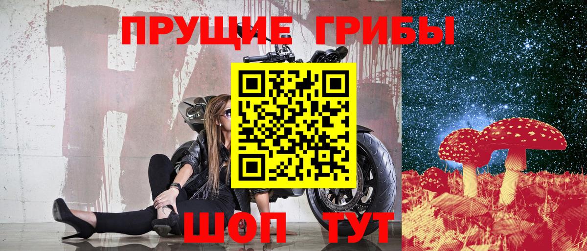 Галлюциногенные грибы Psilocybe Норильск